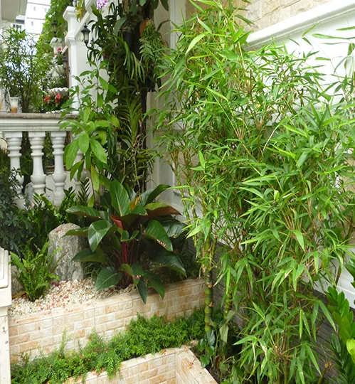 5+ góc nhỏ sân vườn đẹp