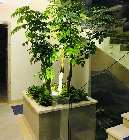 5+ góc nhỏ sân vườn đẹp