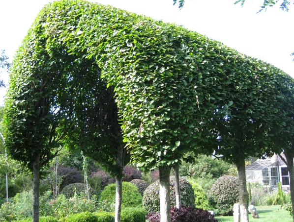 11 thiết kế chòi nghỉ đẹp cho sân vườn