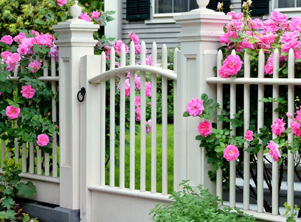 12 loại hoa thích hợp trồng trong sân vườn
