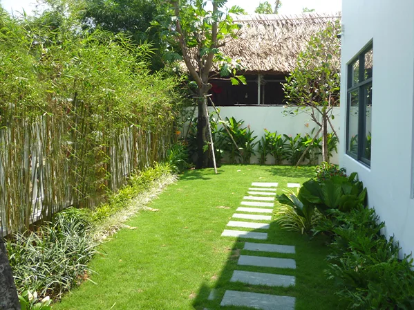 5 loại cây thích hợp làm hàng rào sân vườn