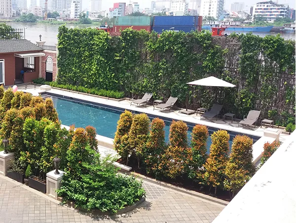 5 loại cây thích hợp làm hàng rào sân vườn
