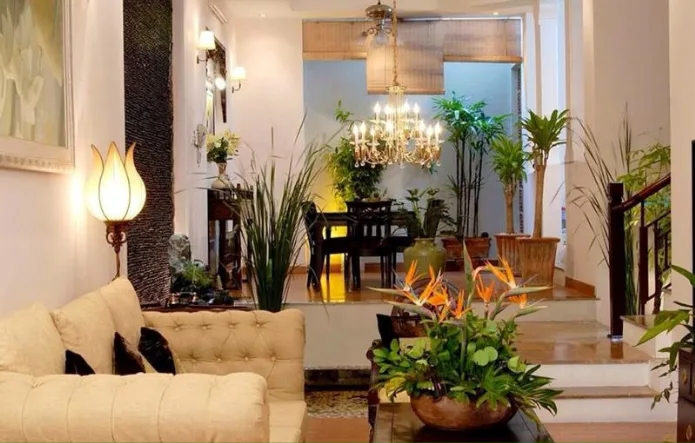 Cách bố trí cây xanh trong vườn
