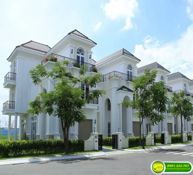 Chăm sóc cảnh quan khu biệt thự