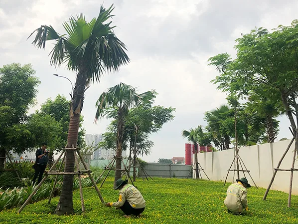 Công ty thi công cảnh quan