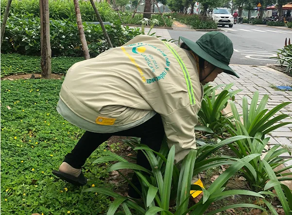 Công ty thi công cảnh quan