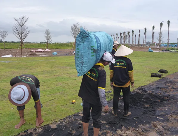 Công ty trồng cây xanh