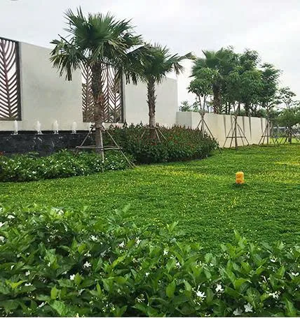 Công ty trồng cây xanh