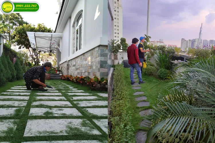 Dịch vụ chăm sóc cảnh quan sân vườn NIS Landscape