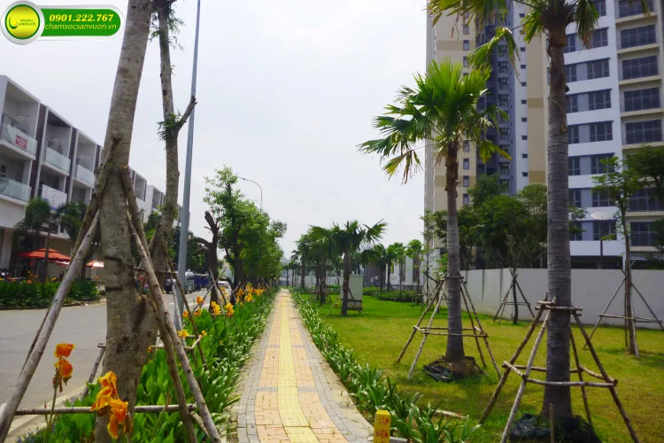 Dịch vụ chăm sóc cảnh quan sân vườn NIS Landscape
