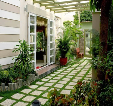 Dịch vụ chăm sóc cây xanh sân vườn quận 2
