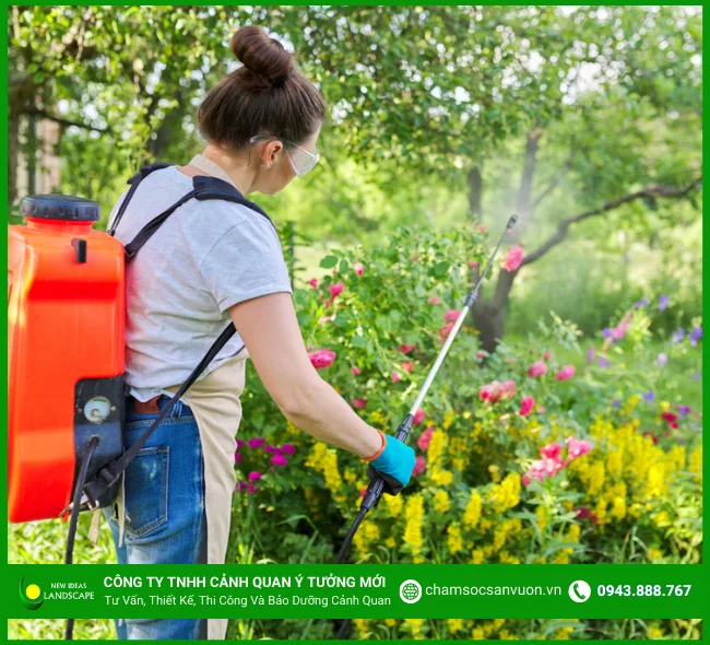 Dịch vụ chăm sóc cây xanh trọn gói tiết kiệm chi phí