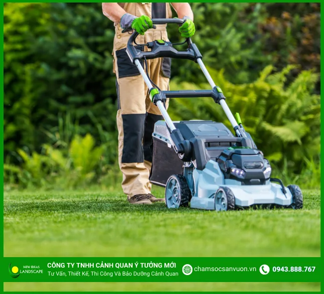 Dịch vụ chăm sóc sân vườn định kỳ cho người bận rộn