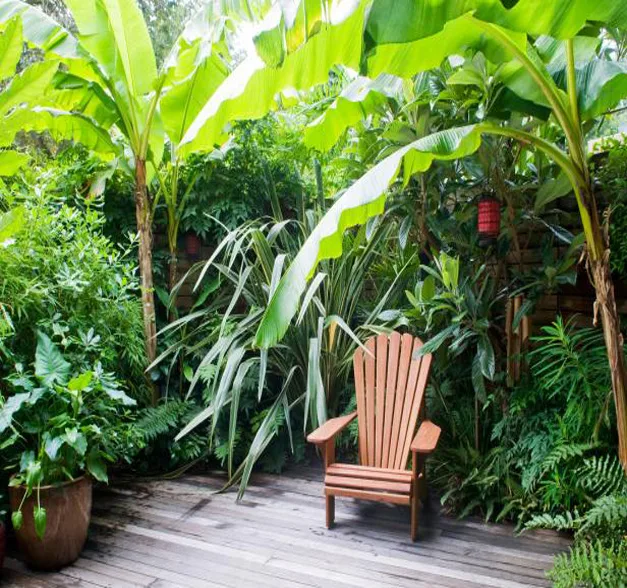 Dịch vụ chăm sóc sân vườn tại quận 1 tp Hồ Chí Minh