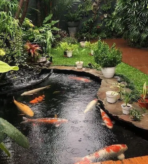 Dịch vụ thi công sân vườn đẹp