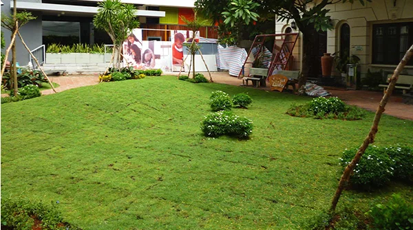Đồi cỏ sân vườn đẹp