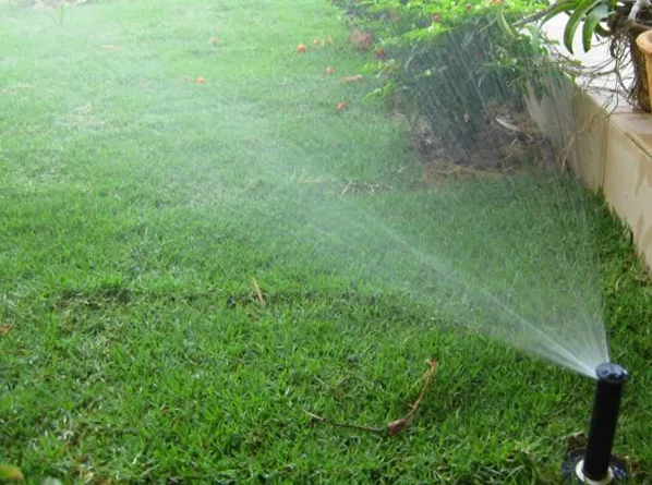 Hệ thống tưới tự động cho sân vườn nhà phố