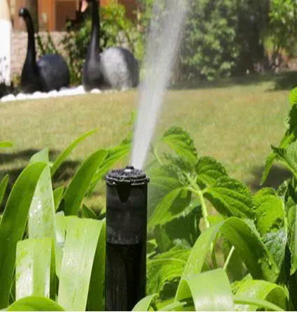 Hệ thống tưới tự động cho sân vườn nhà phố