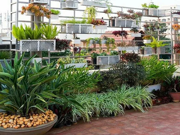 Khu vườn trên sân thượng
