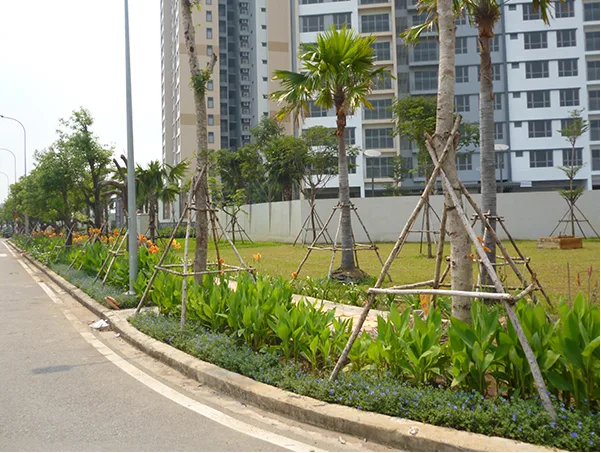 Kỹ thuật chống cây trong thi công sân vườn