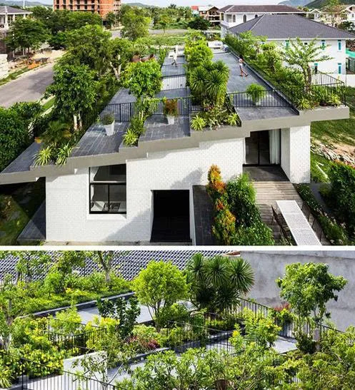 Làm vườn trên sân thượng