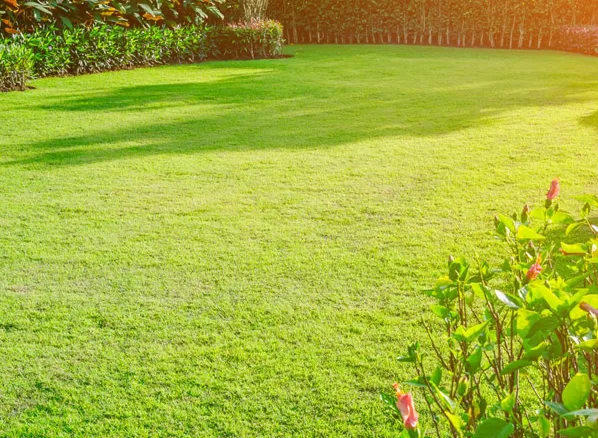 Lợi ích của cảnh quan sân vườn