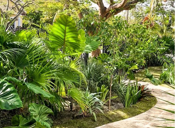 Lợi ích của cảnh quan sân vườn