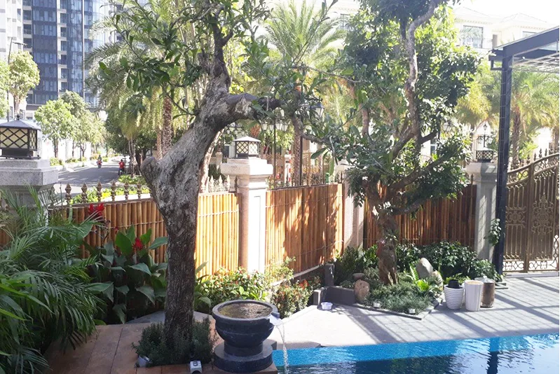 Mẫu vườn nhà đẹp