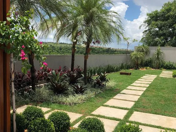 Một số lưu ý khi trồng cây trước nhà
