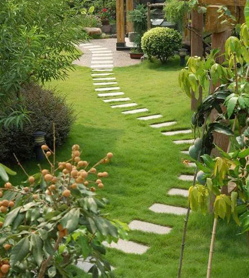 Những cách tạo vườn đẹp tiết kiệm chi phí