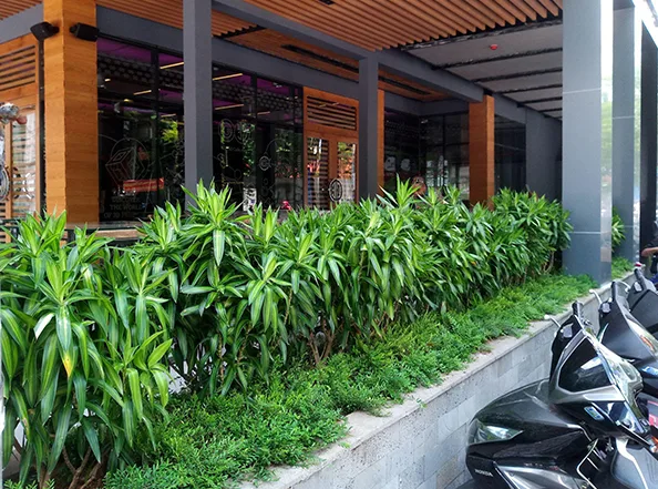 Quy trình thi công sân vườn café