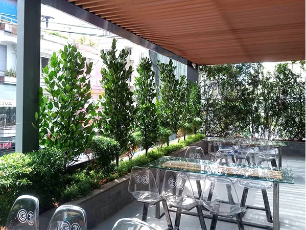 Quy trình thi công sân vườn café