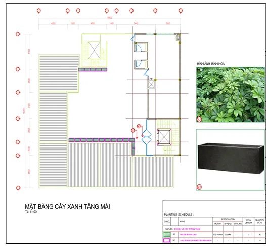 Quy trình thi công sân vườn café