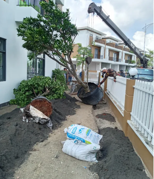 Thiết kế thi công sân vườn chuyên nghiệp