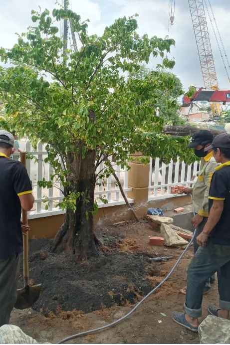 Thiết kế thi công sân vườn chuyên nghiệp