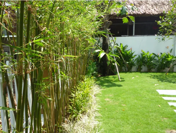 Thiết kế thi công sân vườn chuyên nghiệp