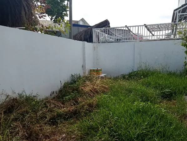 Thiết kế thi công sân vườn chuyên nghiệp