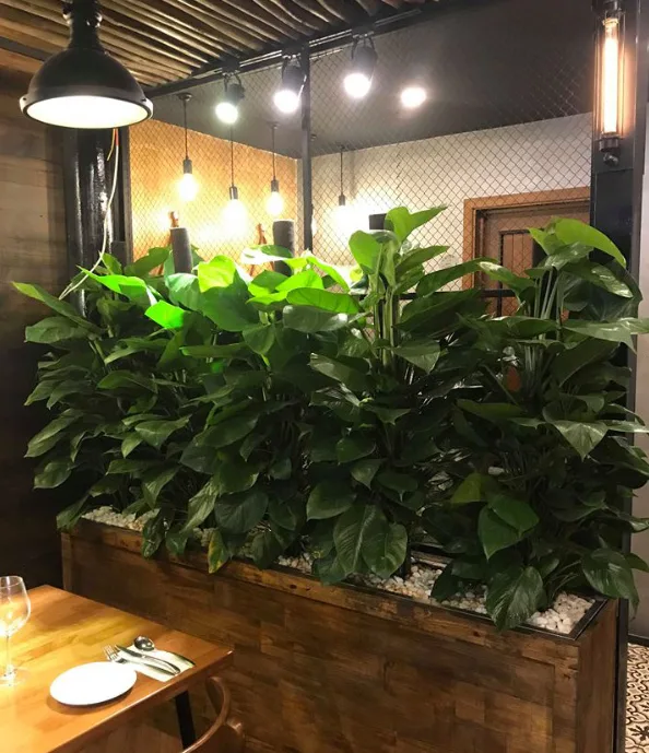 Quy trình thi công sân vườn nhà hàng