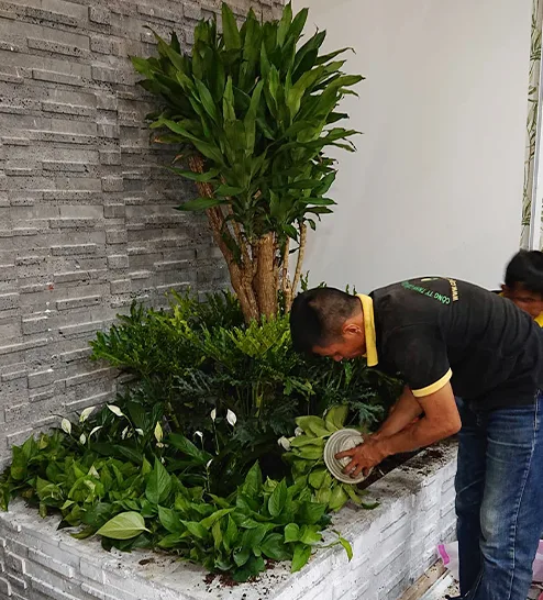 Quy trình thi công sân vườn spa