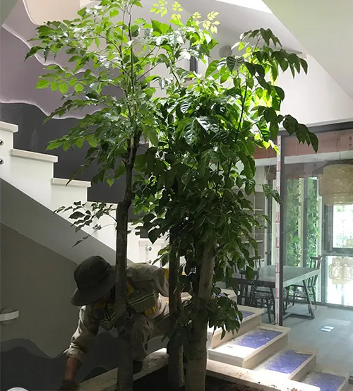 Quy trình thi công sân vườn spa