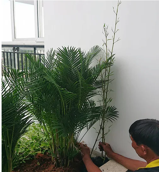 Quy trình thi công sân vườn spa