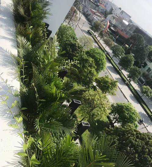 Quy trình thi công sân vườn spa