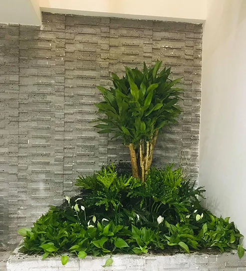 Quy trình thi công sân vườn spa