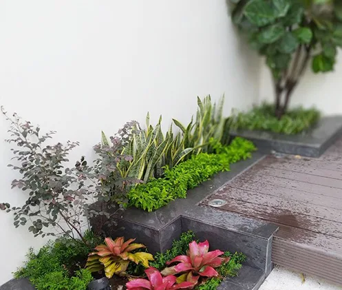 Sân vườn nhà phố đẹp