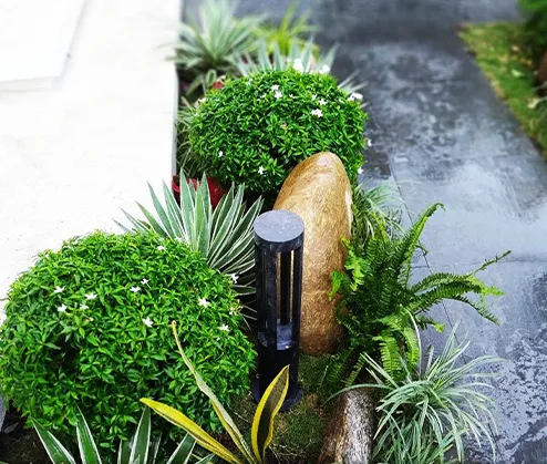 Sân vườn nhà phố đẹp