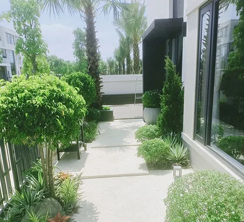 Sân vườn nhà phố đẹp