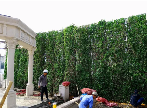 Thi công cảnh quan sân vườn