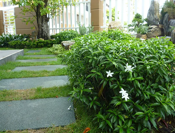 Thi công sân vườn Thủ Đức
