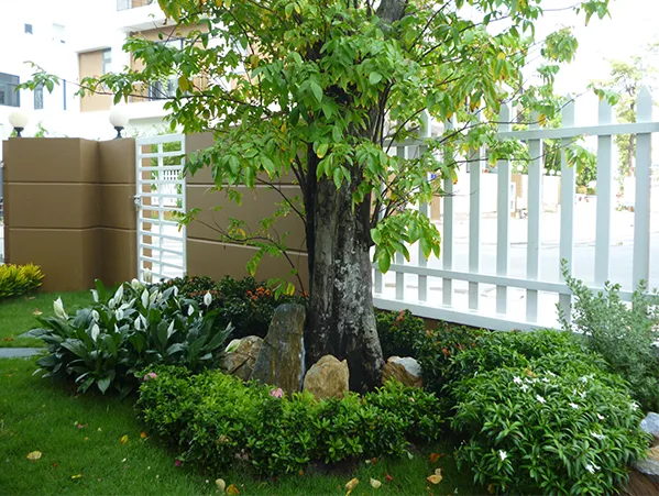 Thi công sân vườn Thủ Đức