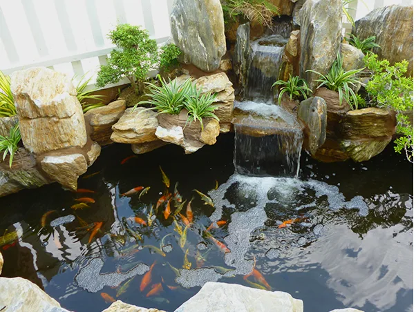 Thi công sân vườn Thủ Đức